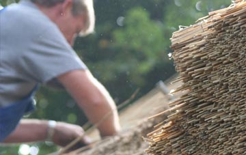 professional Dodworth thatchers