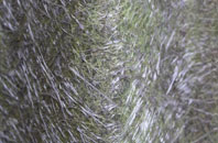 Dodworth fibreglass roof work